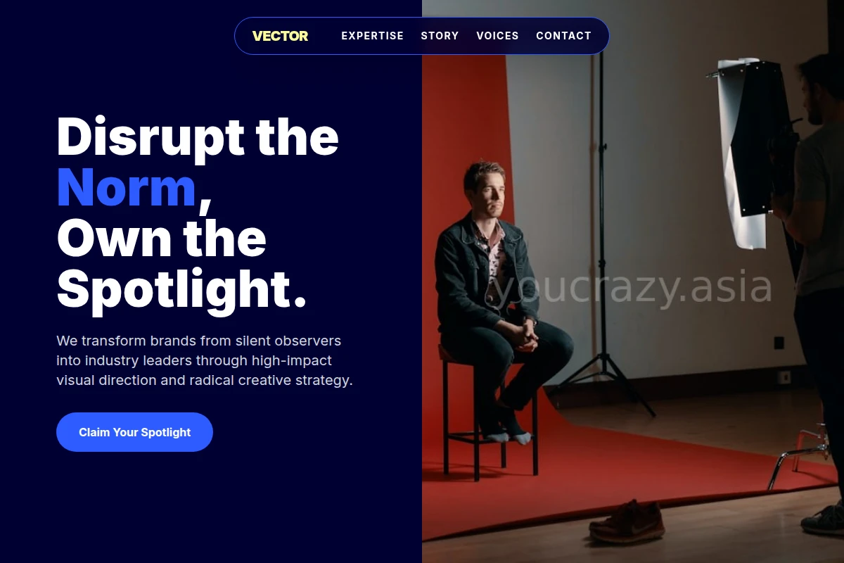 Vector Creative Direction
