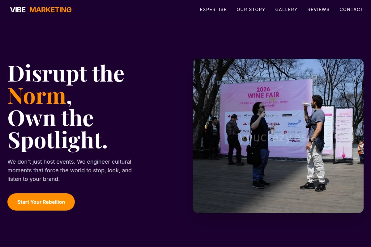 Vibe Event Marketing