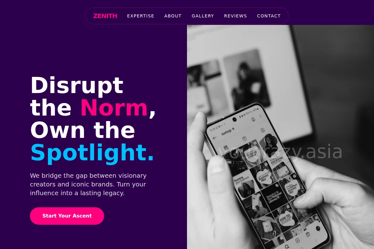 Zenith Influencer Marketing