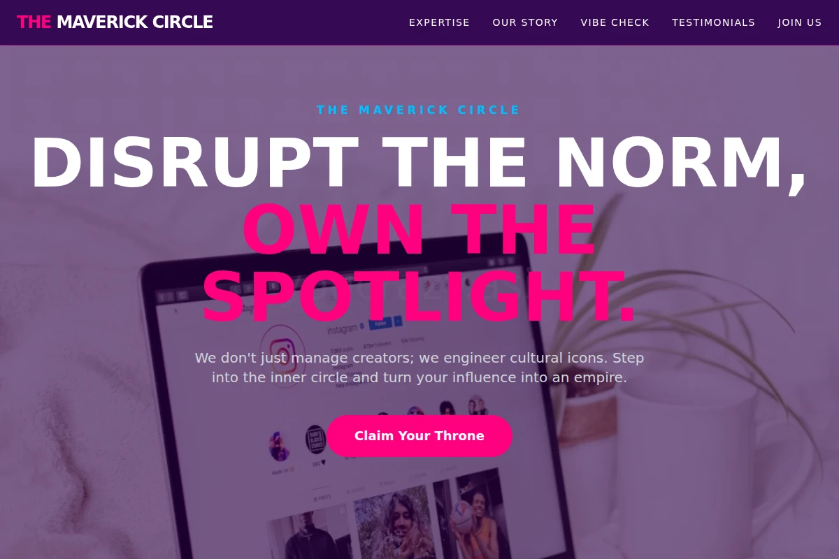 Vibe Influencer Marketing